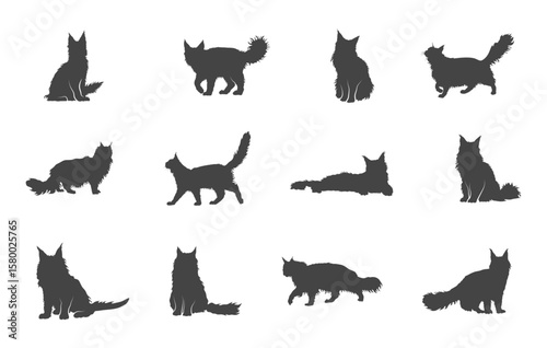 Maine coon cat svg, Maine coon cat silhouette, Maine coon cat clipart, Maine coon cat vector.