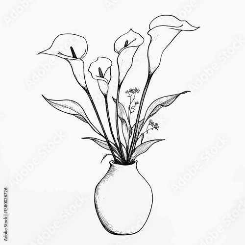 Calla lilies in a vase drawing minimalist flower vector