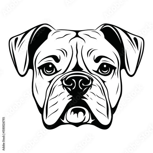 Bulldog face linear art illustration animal vector