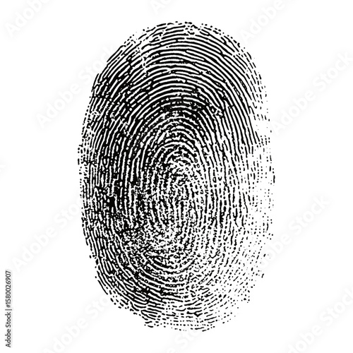 Finger print white identification verification vector