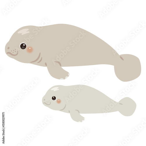 マナティの親子イラスト