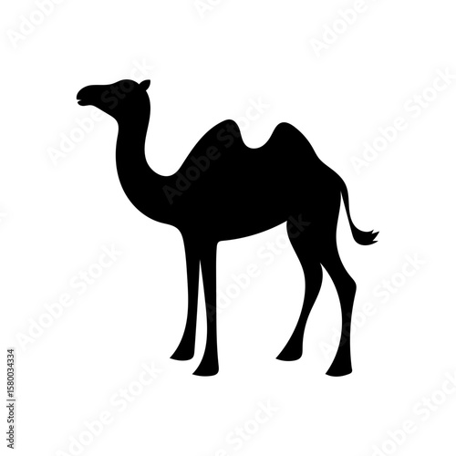 Desert camel silhouette for wildlife exploration and travel storytelling scenes