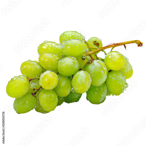 Fresh green grapes gleam with water droplets, a vibrant fruit still life against a stark dark backdrop creating a crisp and appealing visual, transparent background