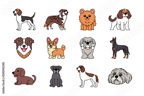 Collection of illustrations of purebred dogs