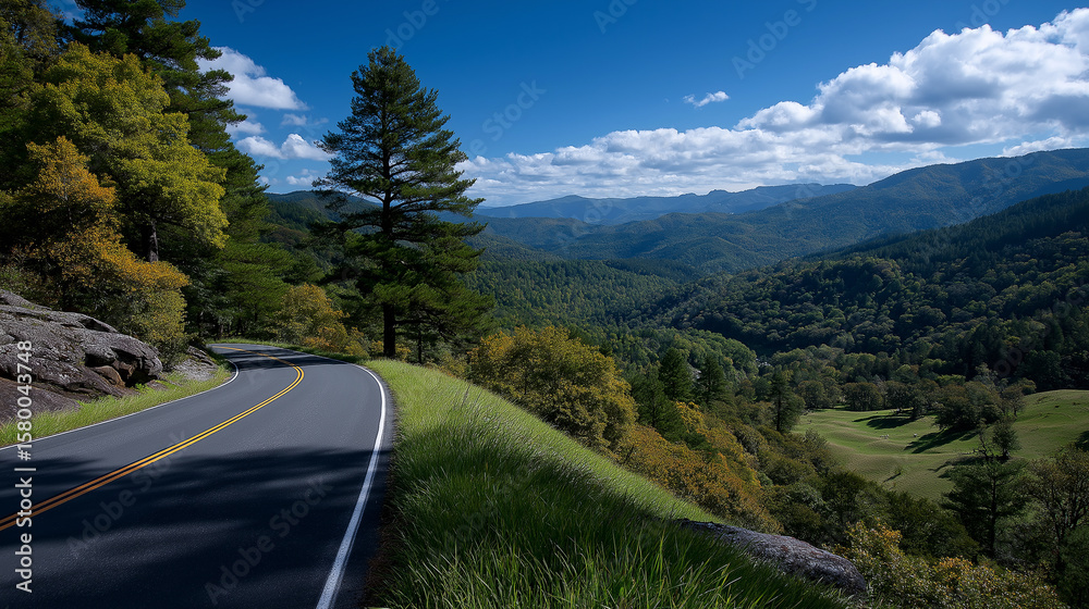 Fototapeta premium Peaceful Scenic Road Through Lush Green Forest Under Clear Blue Sky – Nature-Inspired Travel Landscape, scenic road, green forest, sunlit trees, roadside nature, eco-tourism, forest drive, summer land