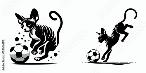 Devon Rex Cat play soccer. Football Sports Ball Game silhouette Clipart Line Art Vector Illustration. Curly feline having fun kicking ball breed of sport.