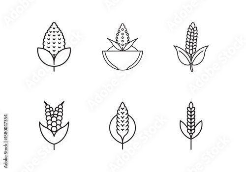 set of quinoa icon line art vector illustration