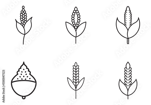 quinoa icon line art vector illustration