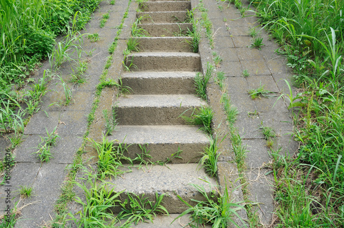 小道の階段