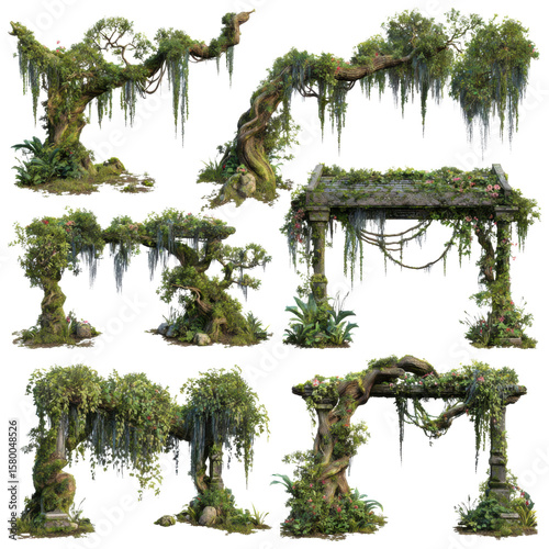 realistic old jungle liana with bark texture isolated on transparent background