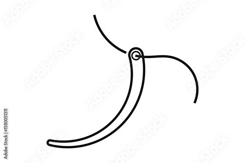 Surgical Needle and Suture Needle Icon on white background.