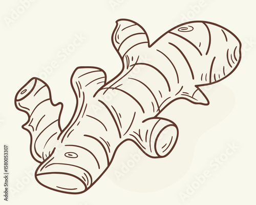 Vector art of a handdrawn sketch of a ginger root isolated on a plain background