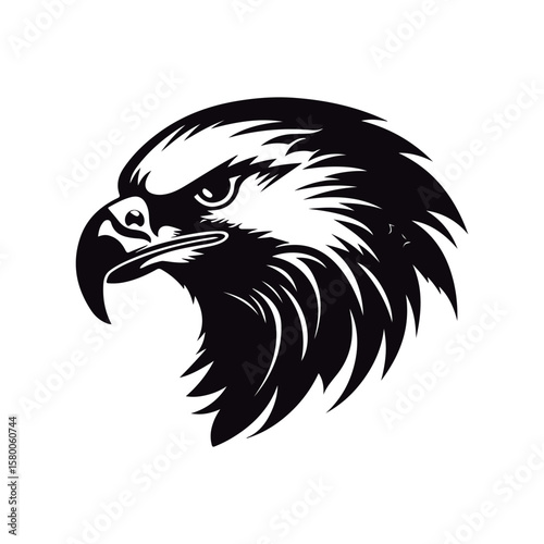 Cute cartoon Hawk head illustration
