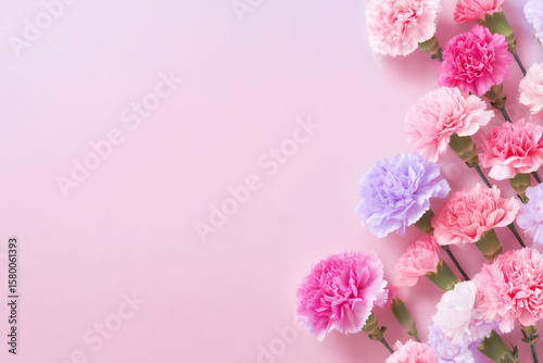 ピンクの背景に散りばめられた様々な色のカーネーション
