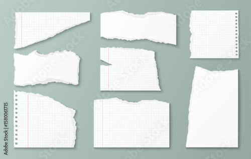 Torn paper pieces collection - realistic white notebook sheets with ripped edges, grid lines, spiral perforations. Scrapbook elements for journaling, collage crafts, creative notes and memory keeping.