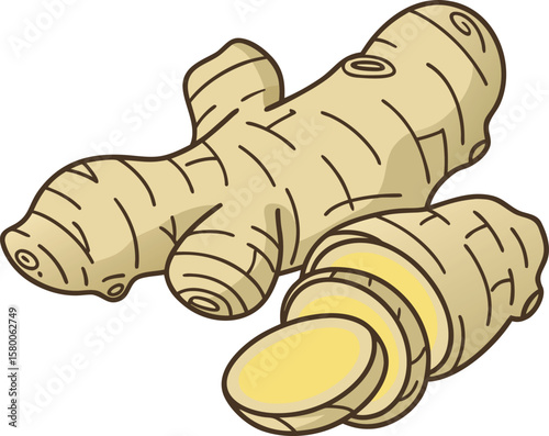 Vector art of a vibrant illustration of fresh ginger root, with one piece sliced to reveal its texture