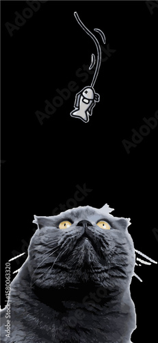 Cute black pet feline kitten on the roof at night with glowing eyes