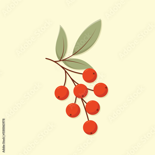Autumn Rowan branch with red berries and leaves. Fall season vector illustration.