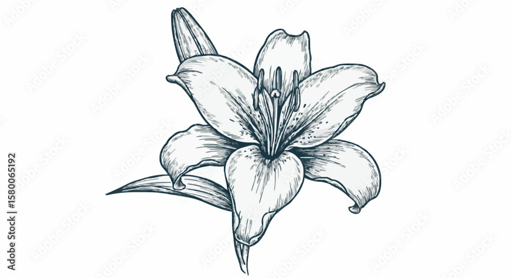 Fototapeta premium Lily porcelain decoration design (dark green)