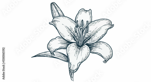Lily porcelain decoration design (dark green)