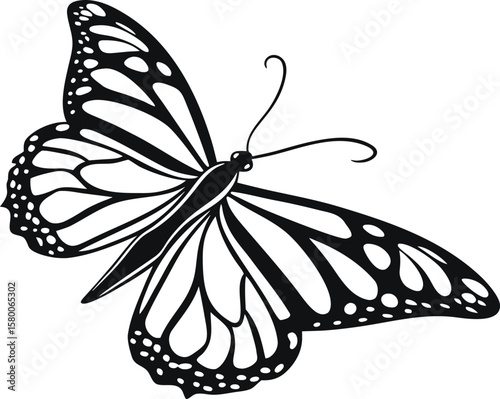 Vector art of a detailed black and white illustration of a monarch butterfly with spread wings