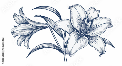 Lily porcelain decoration design (dark blue)