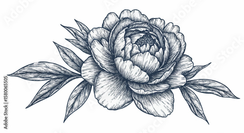 Peony porcelain decoration design (dark grey)
