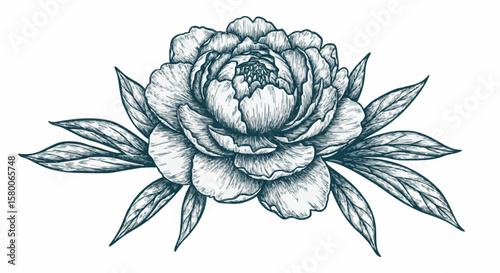 Peony porcelain decoration design (dark green)