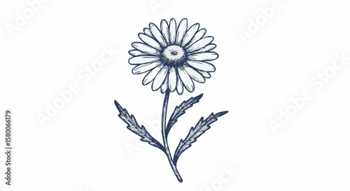 Daisy porcelain decoration design (dark blue)