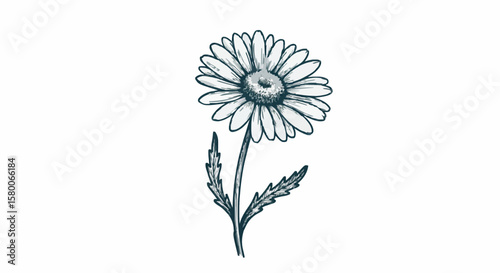 Daisy porcelain decoration design (dark blue)