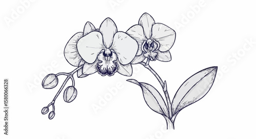 Orchid porcelain decoration design (dark blue)