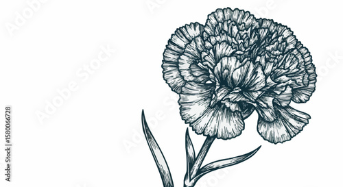 Carnation decoration design (dark green)

