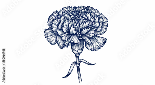 Carnation decoration design (dark blue)
