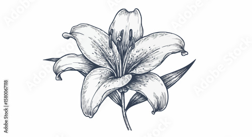 Lily porcelain decoration design (dark green)