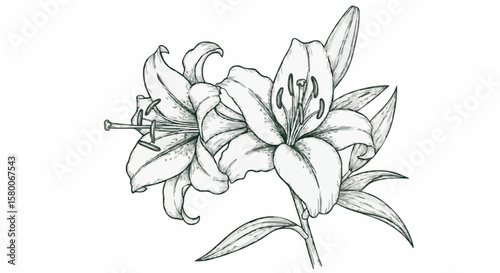 Lily porcelain decoration design (dark green)