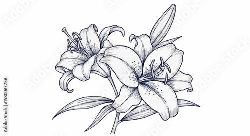 Lily porcelain decoration design (dark blue)