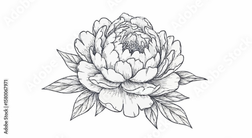 Peony porcelain decoration design (dark blue)