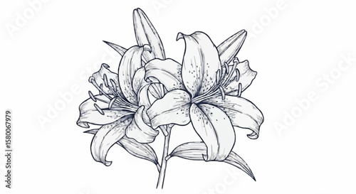 Lily porcelain decoration design (dark blue)