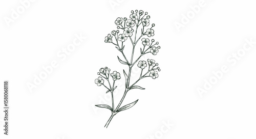 Baby breath decoration design (dark blue)