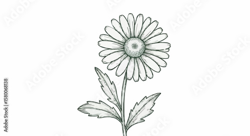 Daisy porcelain decoration design (dark blue)