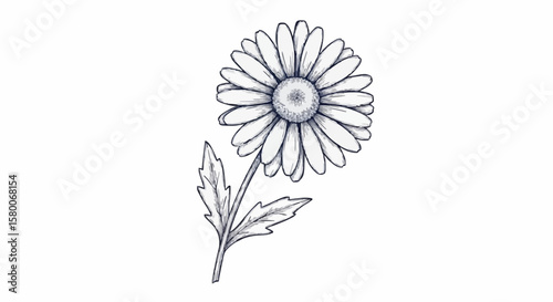 Daisy porcelain decoration design (dark blue)