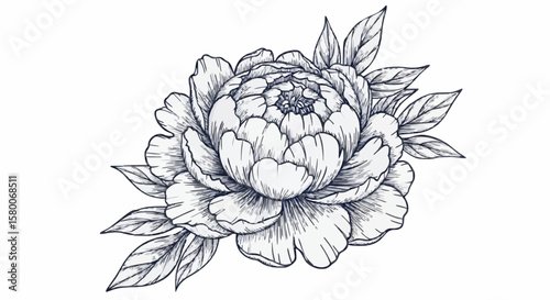 Peony porcelain decoration design (dark grey)