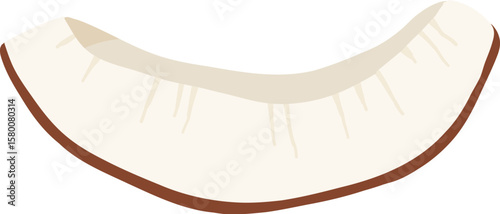 Cartoon nut design. Nut snacks frame, coconut frame of polygon shape flat vector illustration. Nuts border
