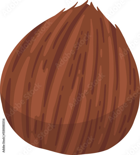 Cartoon nut design. Nut snacks frame, coconut frame of polygon shape flat vector illustration. Nuts border