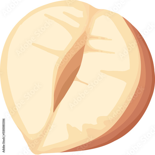Cartoon nut design. Nut snacks frame, hazelnut, walnut, almond and pistachio frame of polygon shape flat vector illustration. Nuts border frame