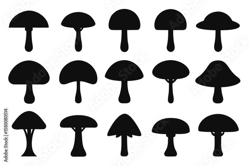 A collection of twelve distinct mushroom silhouettes