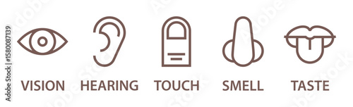 Five senses icon set. Human sense organs. Taste, sight, touch, smell, hearing symbols. Eye, ear, finger, nose and lips signs.