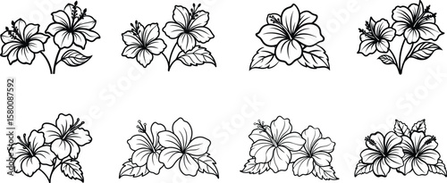 Collection of eight various hibiscus flower designs in black and white outline