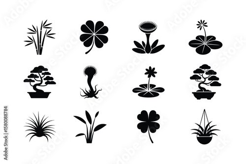 Bamboo clover pitcher plant bonsai water lily air plant vector
