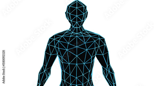Digital representation of a human body constructed from triangles and lines in a low poly style